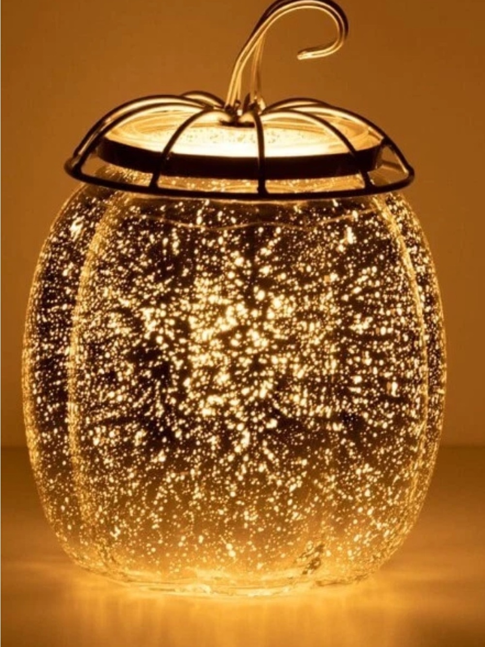 Scentsy Fall Fairy Tale Wax Warmer with Bright Floral Accent